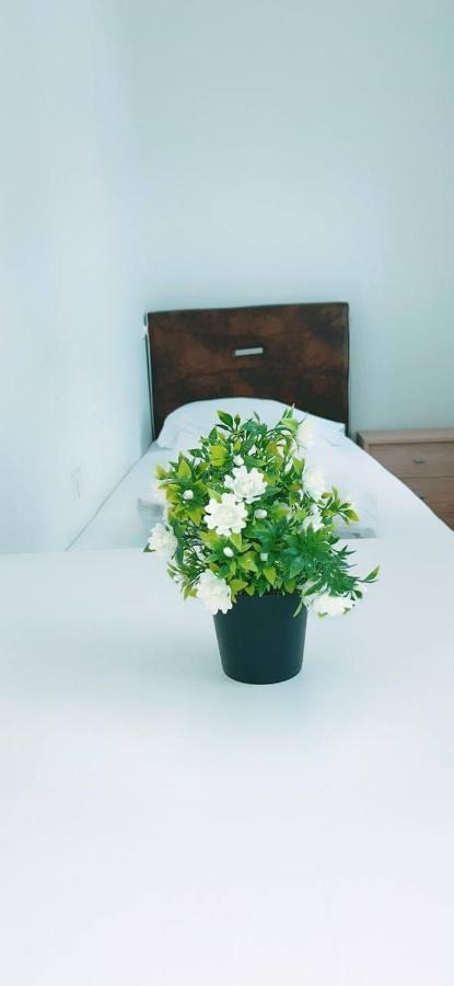 Apartamento Deluxe Double Kp